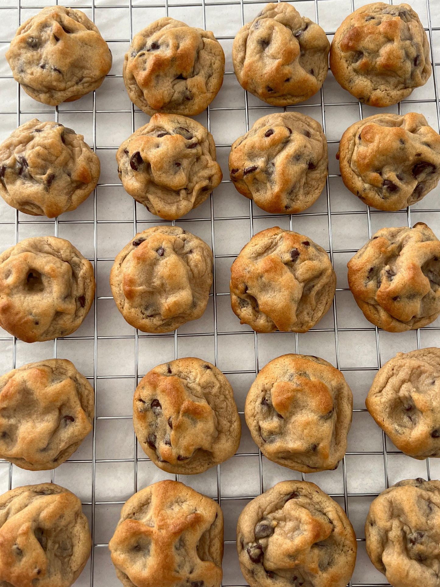 20 ct. Chocolate Chip Mini's